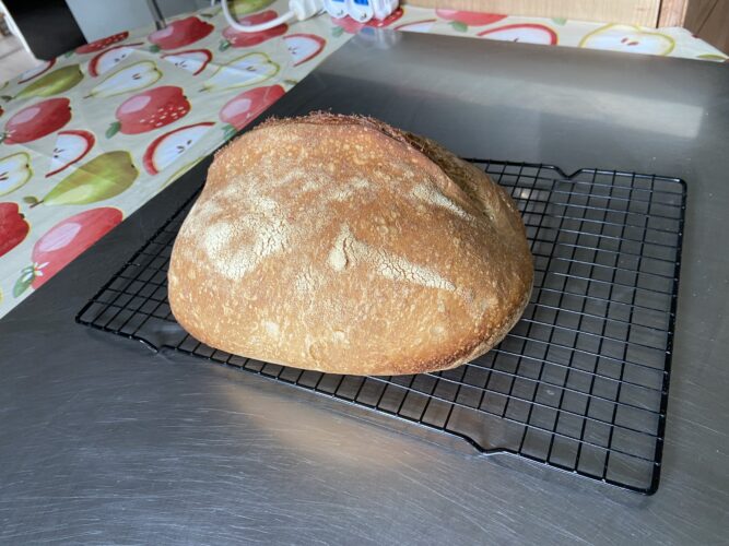 pane malto tostato lievito madre