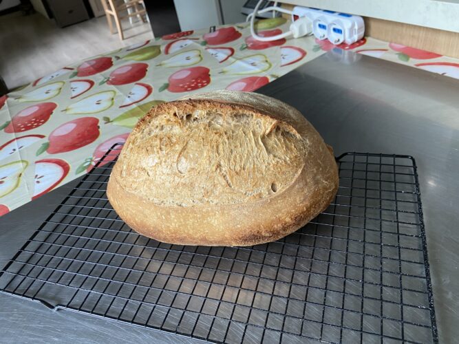 pane malto tostato lievito madre