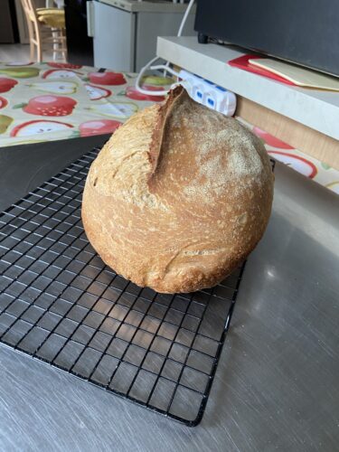 pane malto tostato lievito madre