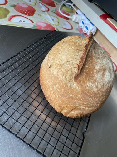 pane malto tostato lievito madre