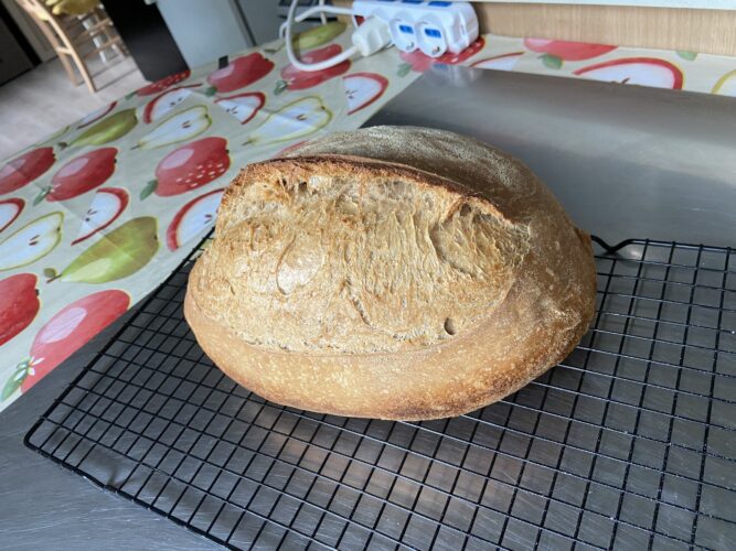 pane malto tostato lievito madre