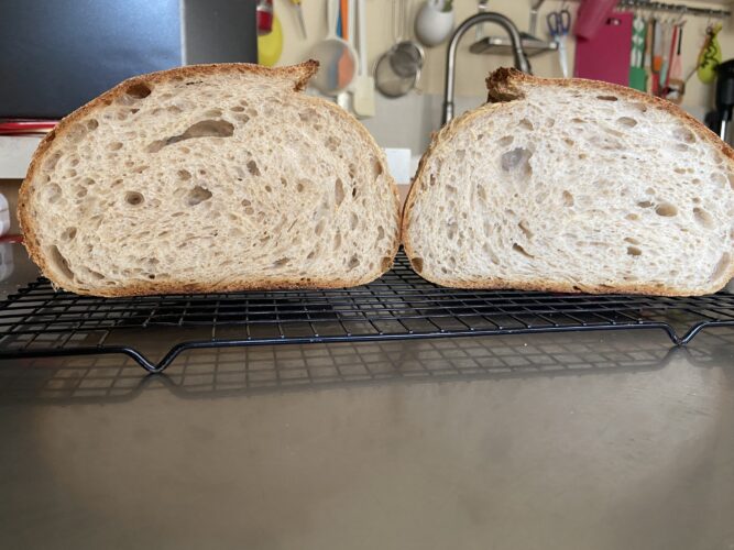 pane multicereali lievito madre