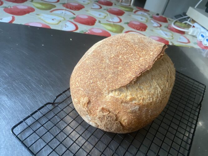 pane multicereali lievito madre