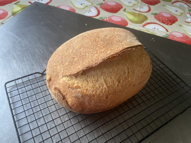 pane multicereali lievito madre