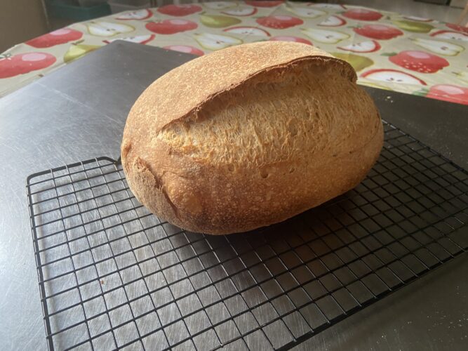 pane multicereali lievito madre