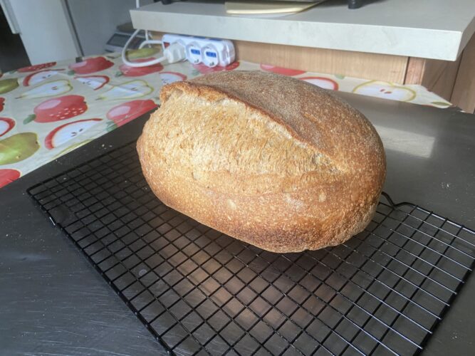 pane multicereali lievito madre