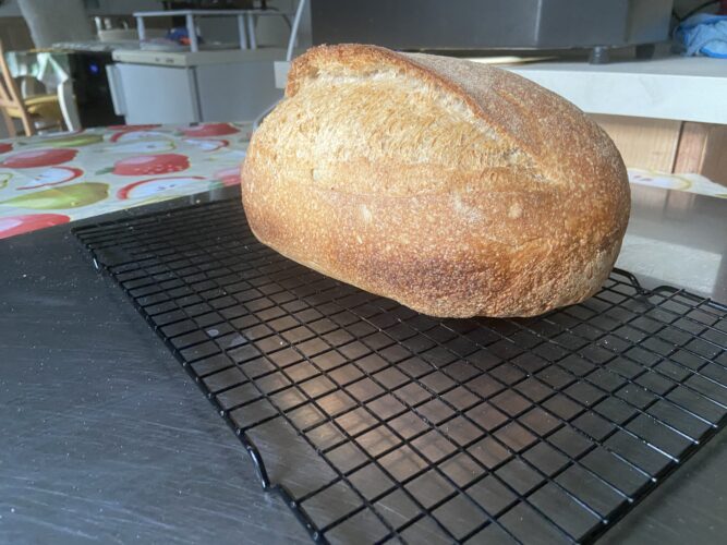 pane multicereali lievito madre