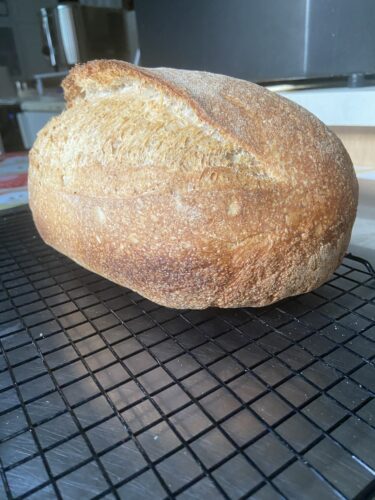 pane multicereali lievito madre