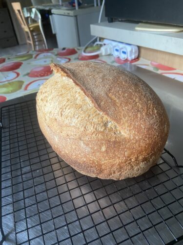 pane multicereali lievito madre