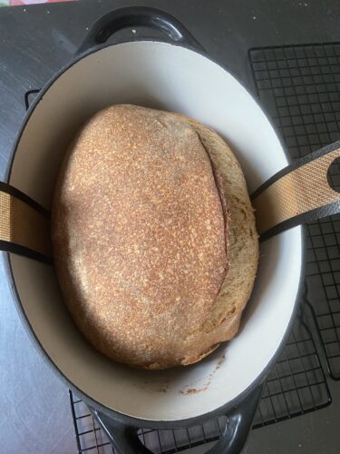 pane multicereali lievito madre