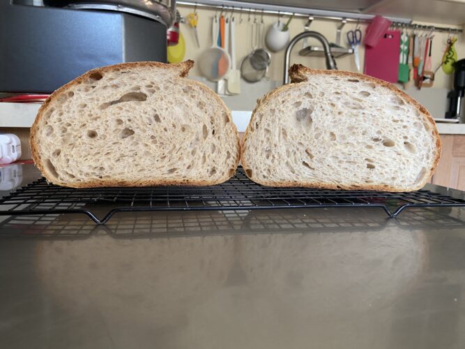 pane multicereali lievito madre