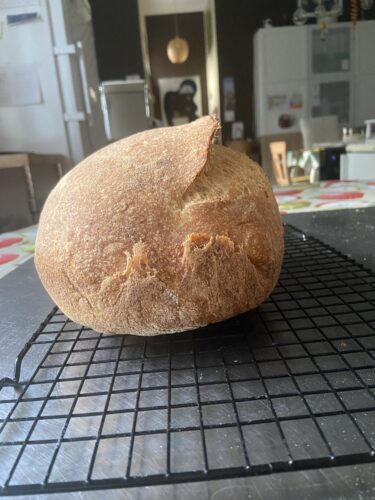 pane multicereali lievito madre