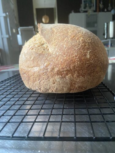 pane multicereali lievito madre