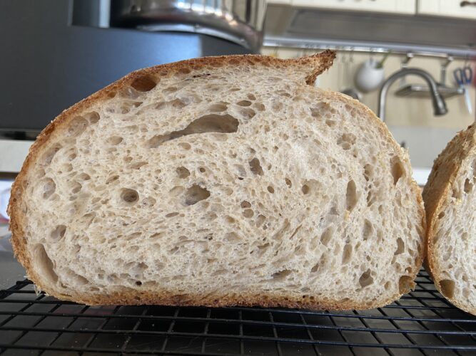 pane multicereali lievito madre