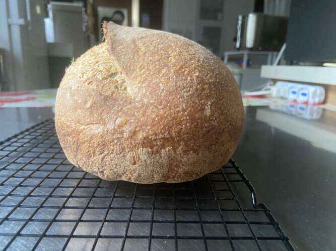 pane multicereali lievito madre