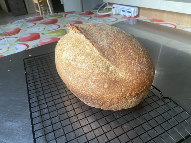 pane multicereali lievito madre