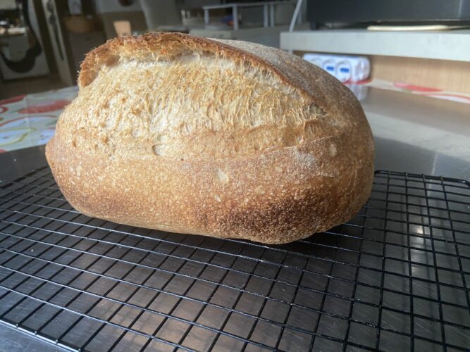 pane multicereali lievito madre