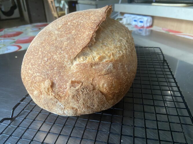 pane multicereali lievito madre