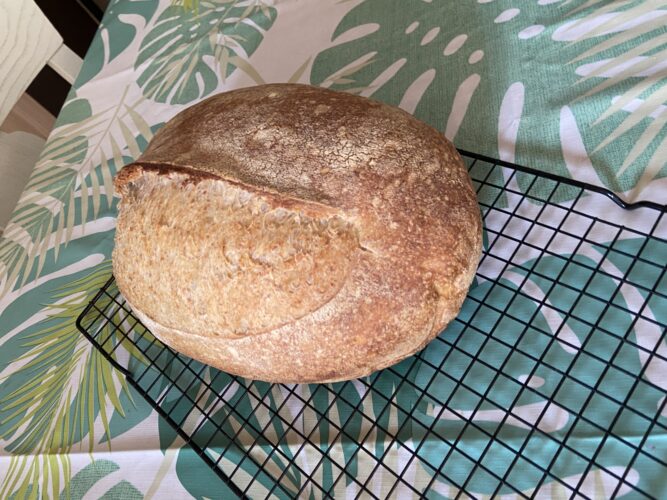 pane semintegrale farro lievito madre