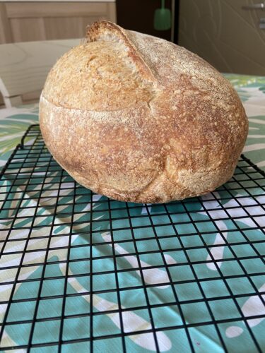 pane semintegrale farro lievito madre