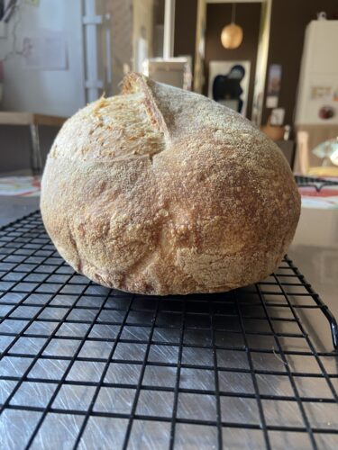pane semintegrale farro lievito madre