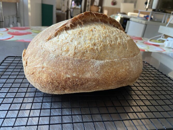 pane semintegrale farro lievito madre