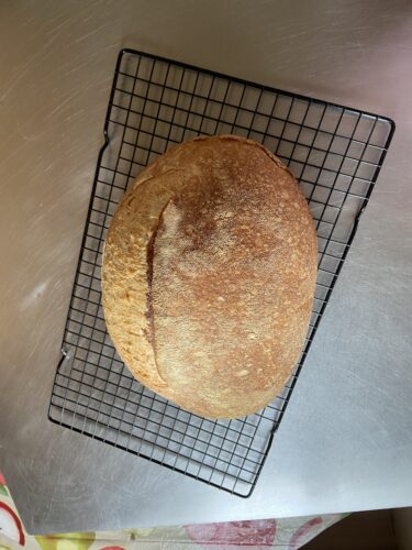 pane semintegrale farro lievito madre