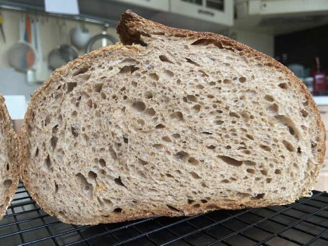 pane orzo malto lievito madre