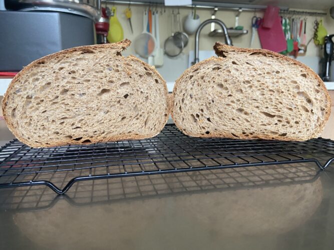 pane orzo malto lievito madre