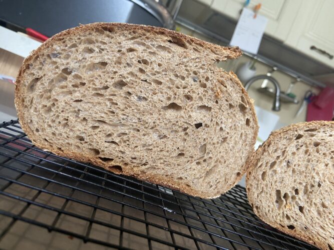 pane orzo malto lievito madre