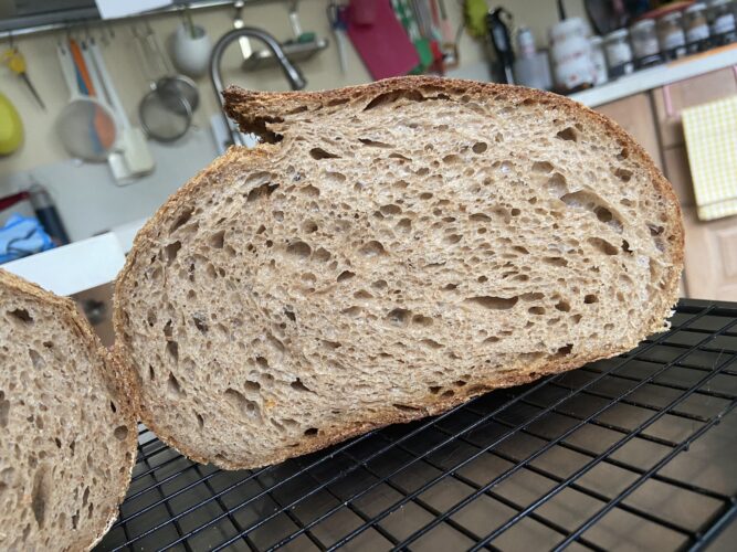 pane orzo malto lievito madre