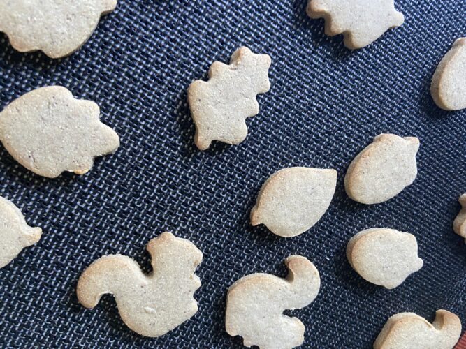 biscotti farina di castagne autunnali senza glutine senza zucchero