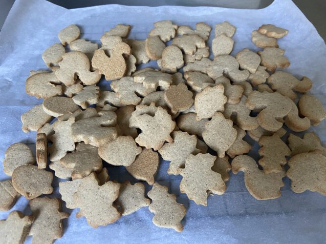 biscotti farina di castagne autunnali senza glutine senza zucchero