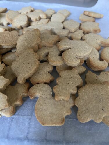 biscotti farina di castagne autunnali senza glutine senza zucchero