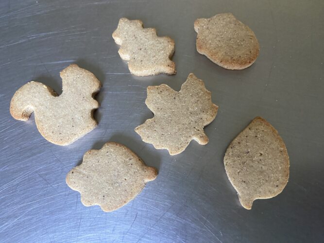 biscotti farina di castagne autunnali senza glutine senza zucchero