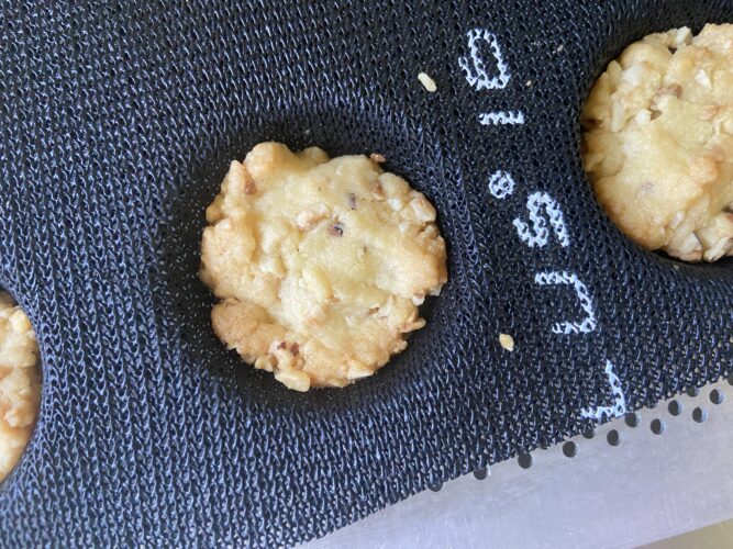 biscotti sbrisolini salati