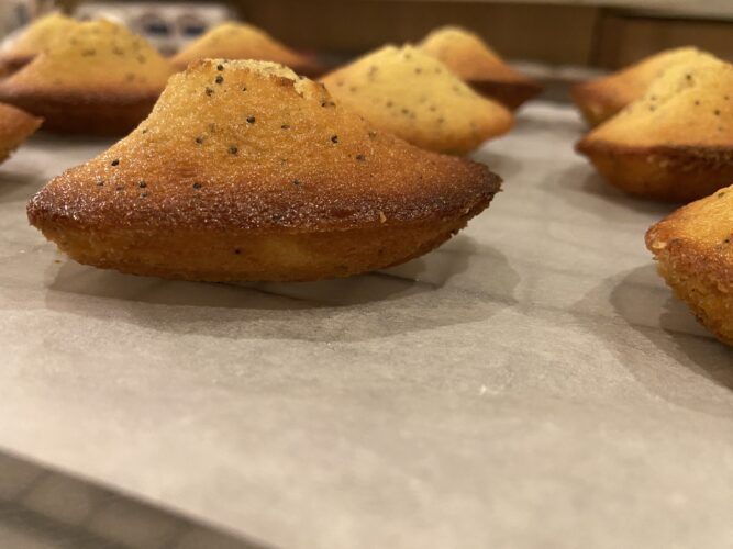 madeleine limone semi papavero