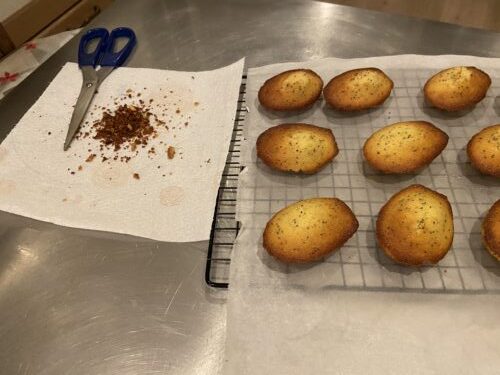 madeleine limone semi papavero