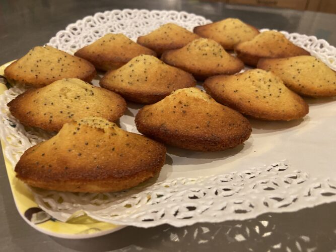 madeleine limone semi papavero