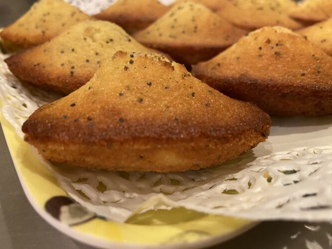 madeleine limone semi papavero
