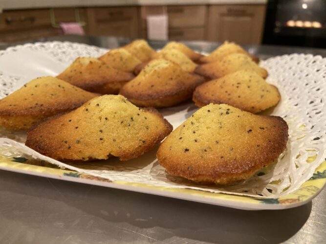 madeleine limone semi papavero