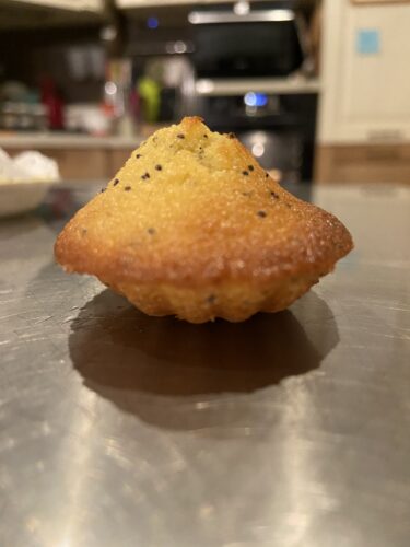 madeleine limone semi papavero