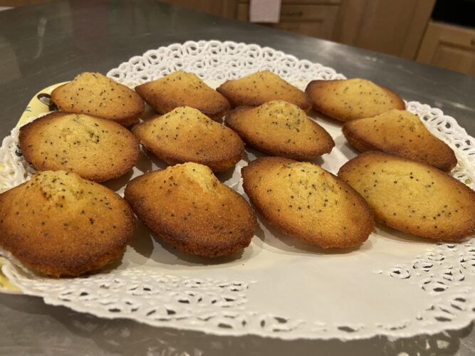 madeleine limone semi papavero