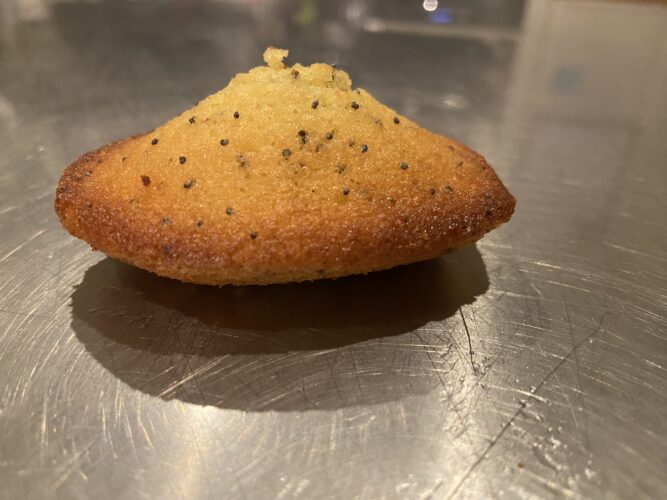 madeleine limone semi papavero