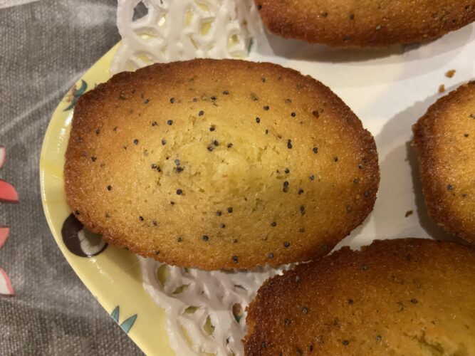 madeleine limone semi papavero