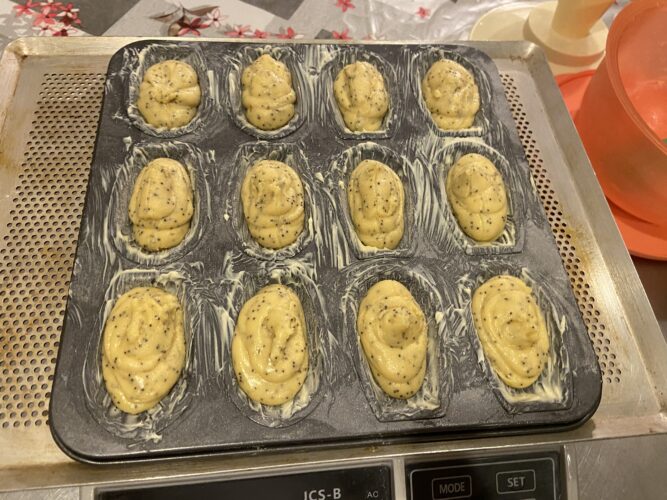madeleine limone semi papavero