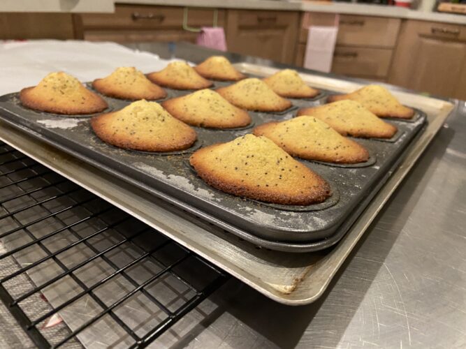 madeleine limone semi papavero