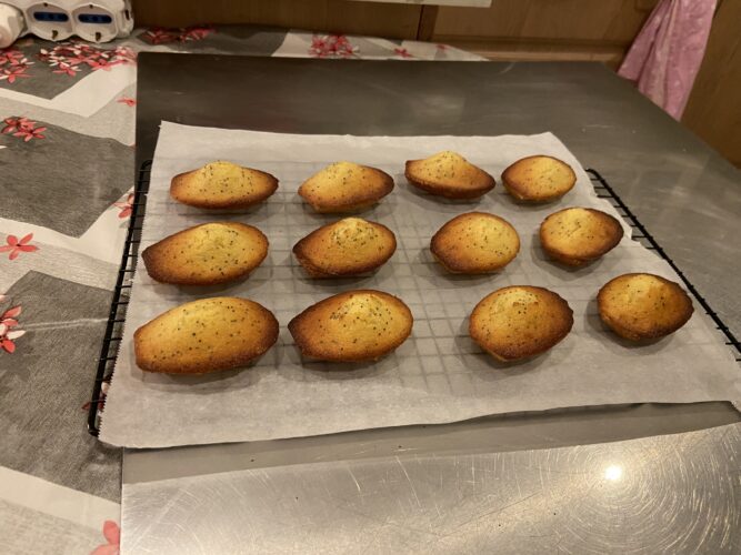 madeleine limone semi papavero