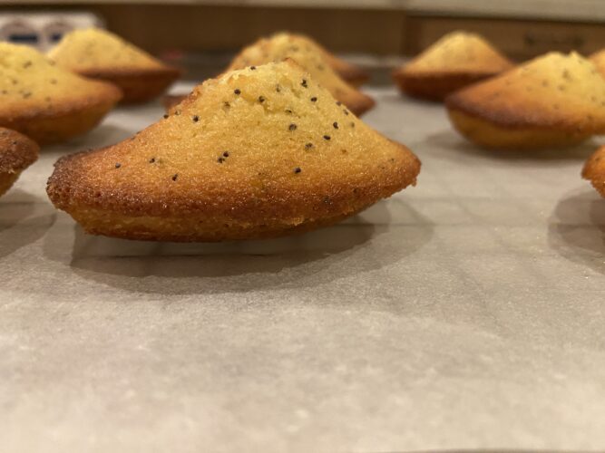 madeleine limone semi papavero