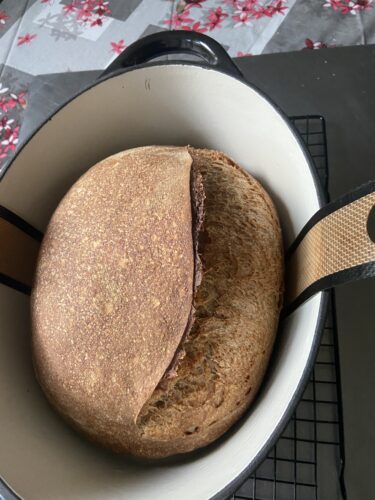 pane orzo e malto lievito madre